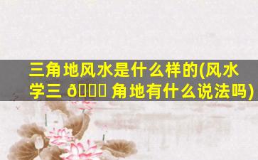 三角地风水是什么样的(风水学三 🕊 角地有什么说法吗)